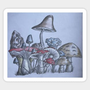 Shrooms Sticker